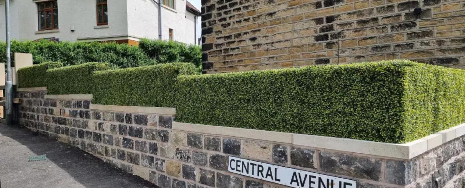 Stone wall with trimmed green hedges along Central Avenue near residential houses under clear sky.