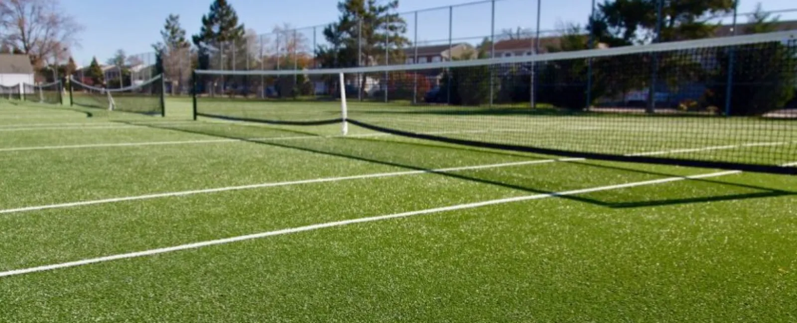 Empty green tennis court with white lines and nets under a clear blue sky with trees in the background