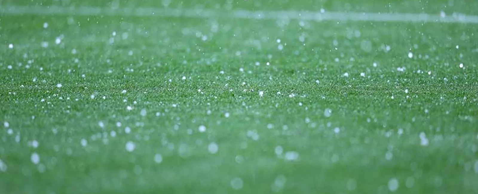 Raindrops fall and create splashes on a vibrant green grassy surface in soft focus