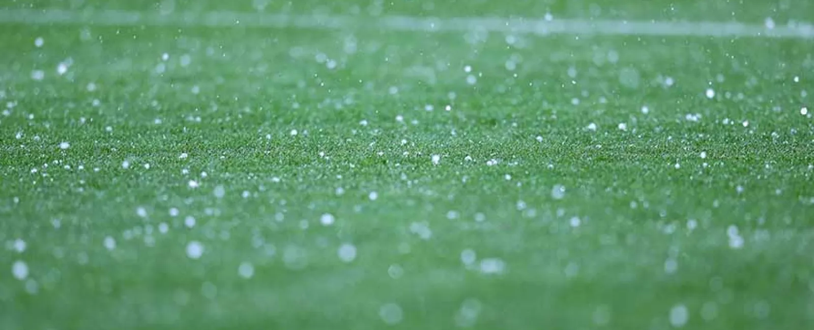 Close-up of rain droplets falling on green grass, creating a blurred bokeh effect with natural light.