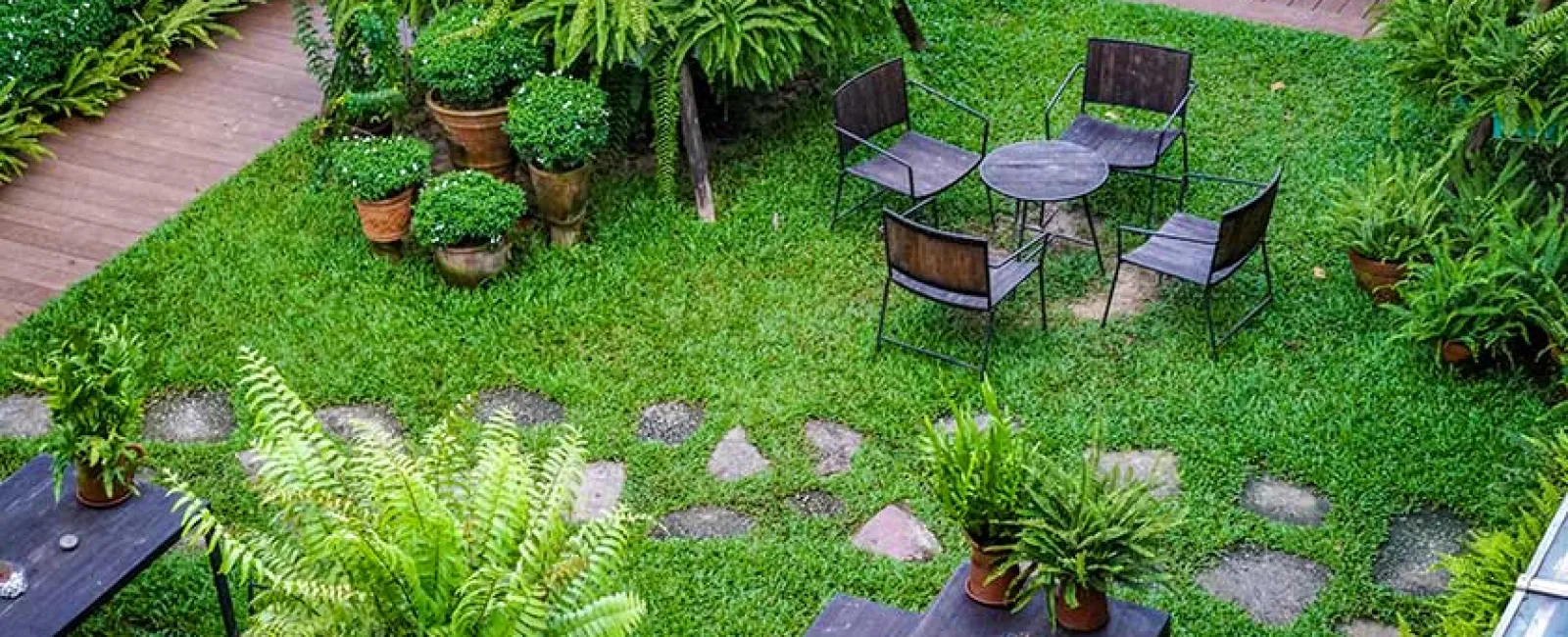 a backyard with chairs and plants