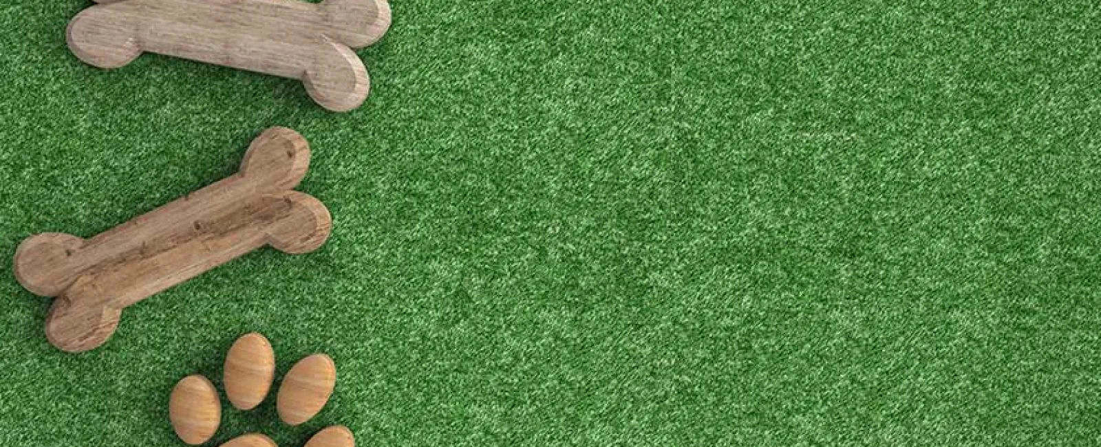 Wooden dog bones and paw print on green grass background with empty space on the right