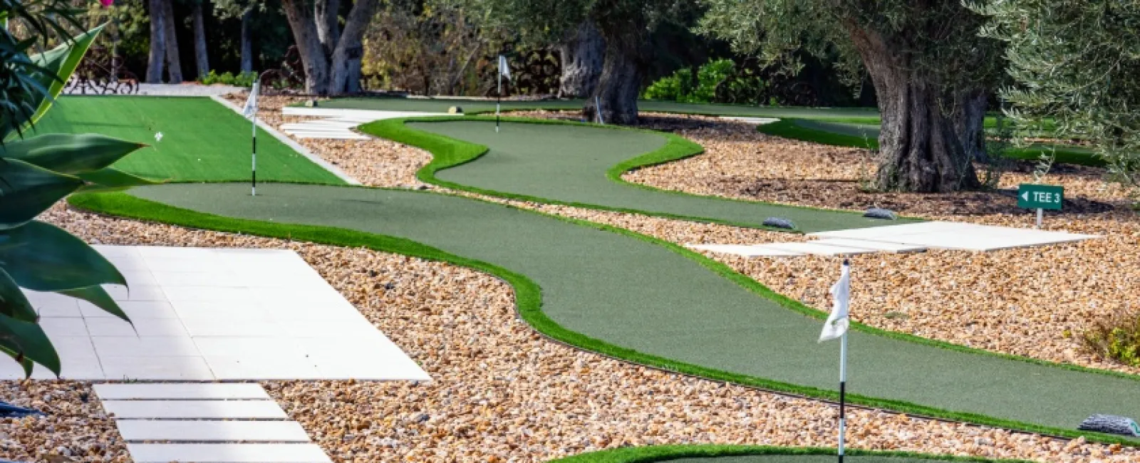 Curved mini golf putting green surrounded by gravel and olive trees in a landscaped garden.