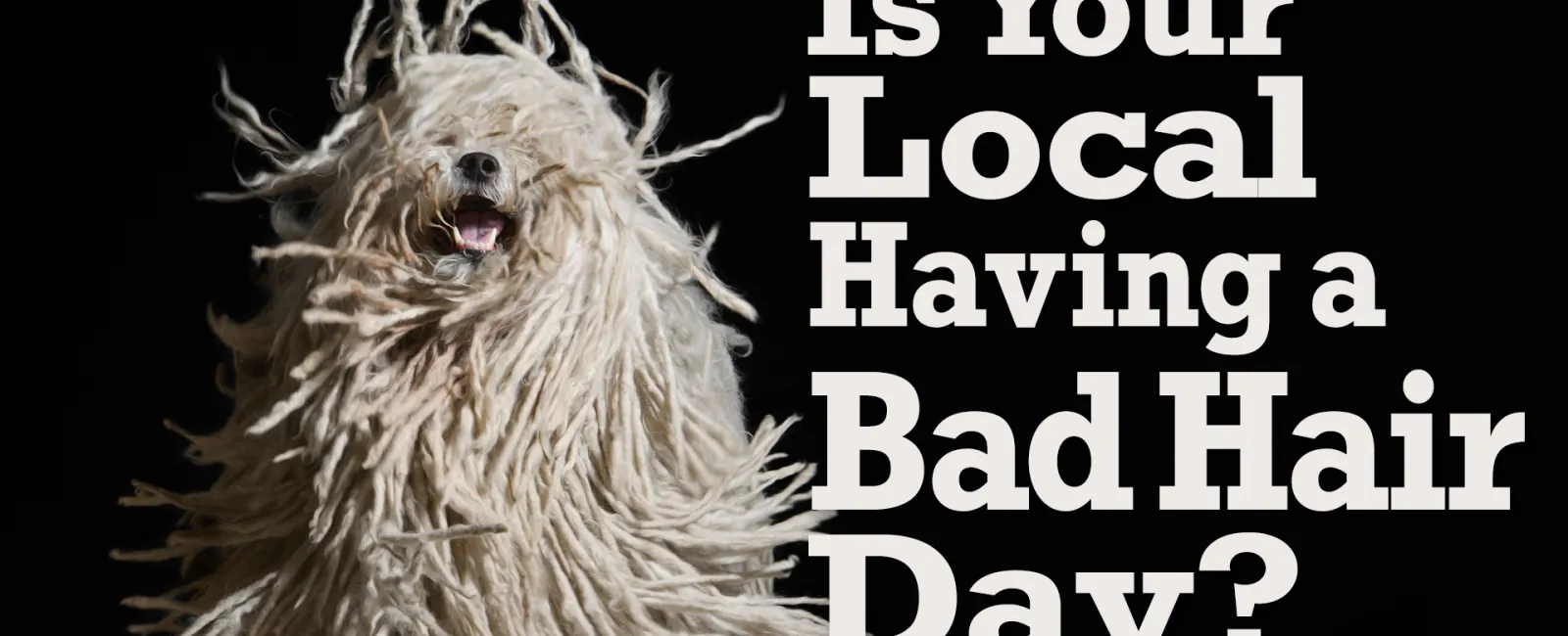 Is Your Local Having a Bad Hair Day?
