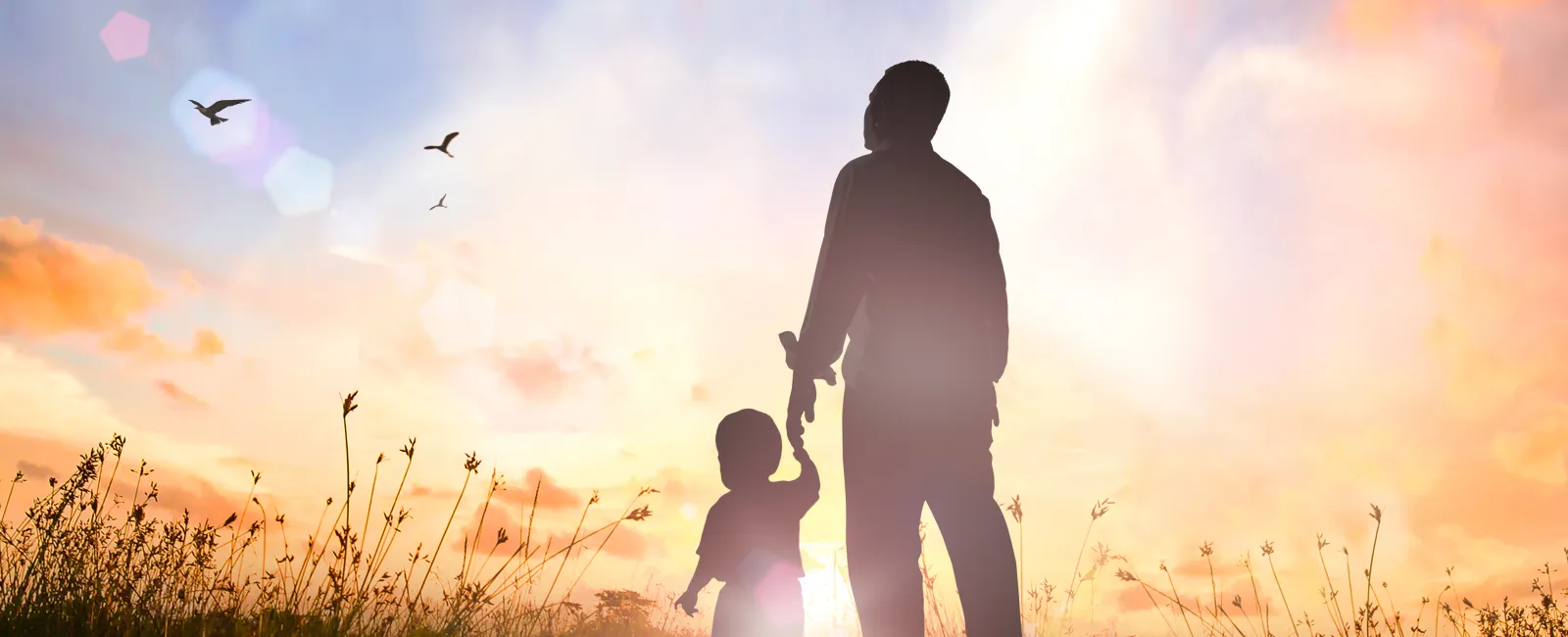 a man and a child walking in a field with a sunset