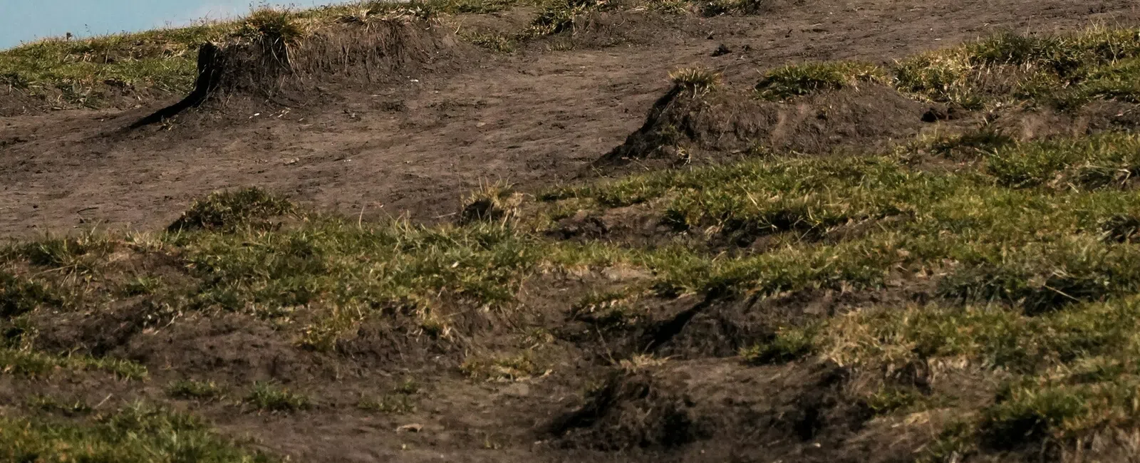 Grassy hill with patches of exposed soil under a bright blue sky with scattered clouds.