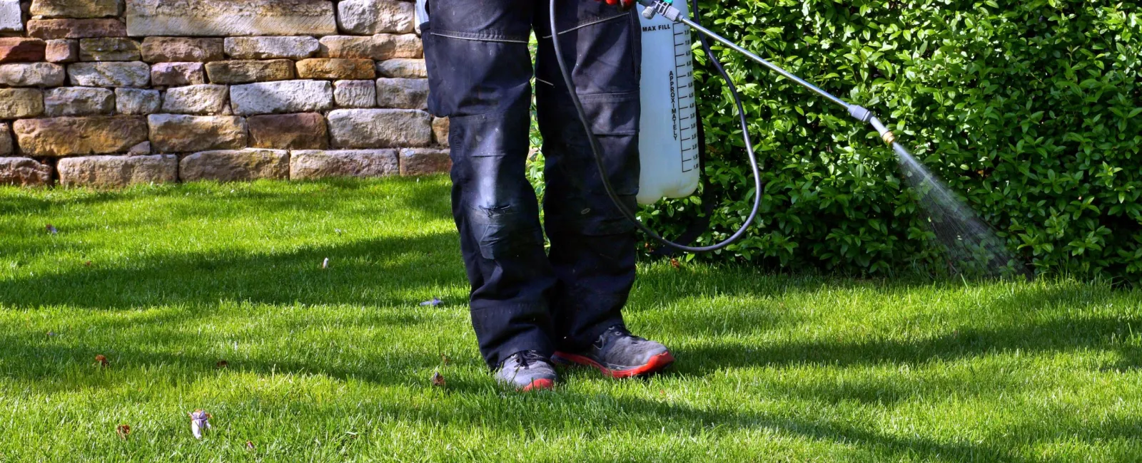 Pest Control 101: How Often Pest Control Should Be Done