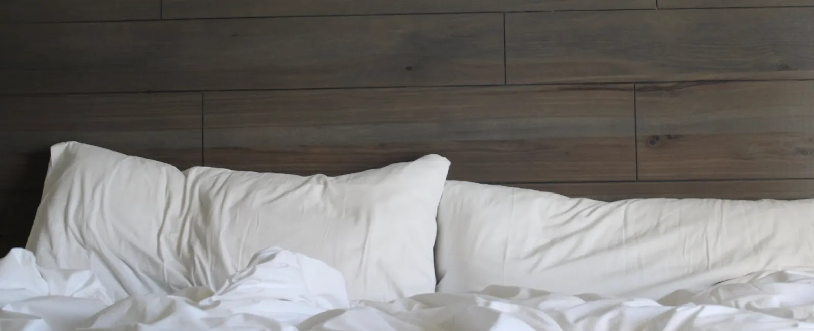 Bed Bugs 101: What They Are and How to Get Rid of Them