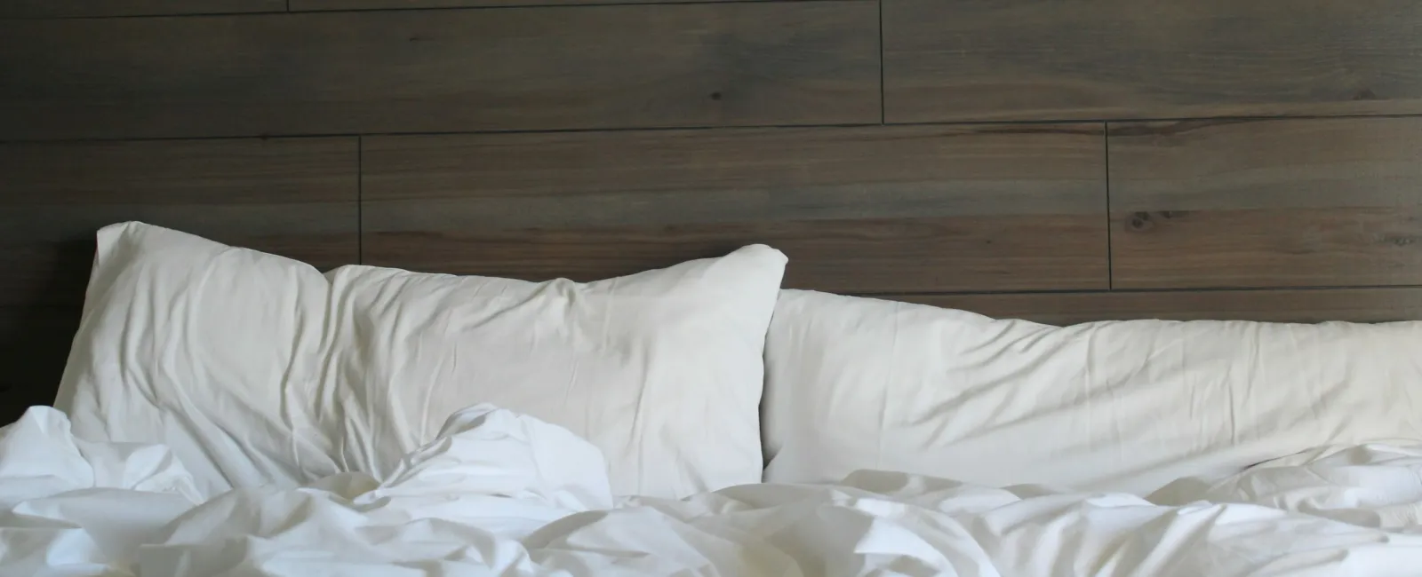 6 Signs of Bed Bug Infestation You Shouldn’t Ignore