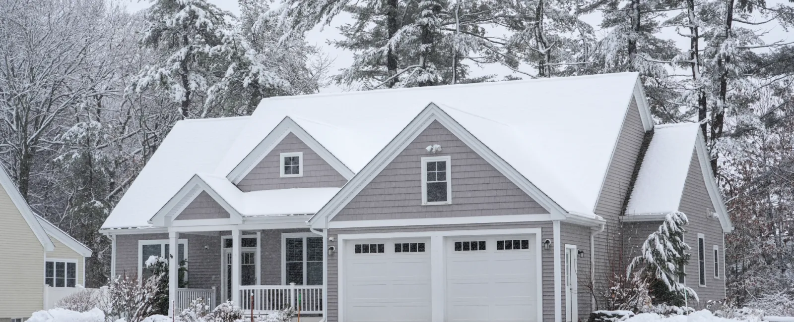 Effective Winter Pest Control: Keep Your Home Safe This Season