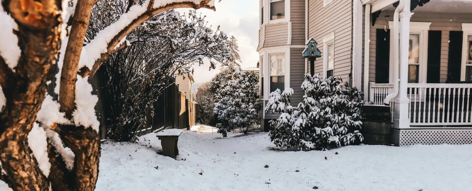 Preparing for Winter Pests