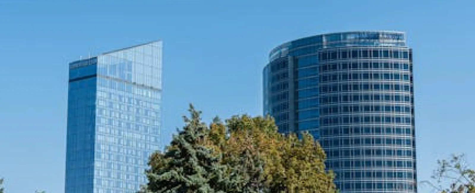 Modern glass skyscrapers behind lush green trees under a clear blue sky in an urban park setting