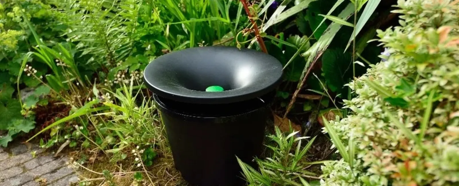 Black garden pest repeller placed among green plants and bushes in a garden setting during daytime