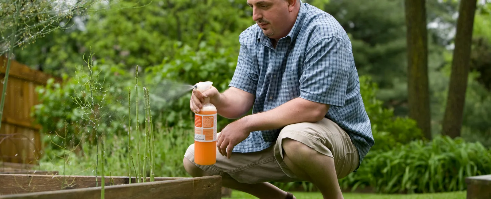 Pest Control in South Florida: What Every Homeowner Needs to Know in 2026