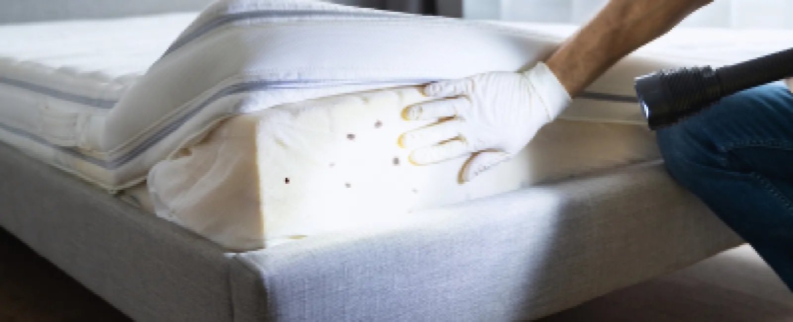 Person wearing gloves inspecting mattress with flashlight showing mattress foam and cover on bed frame.