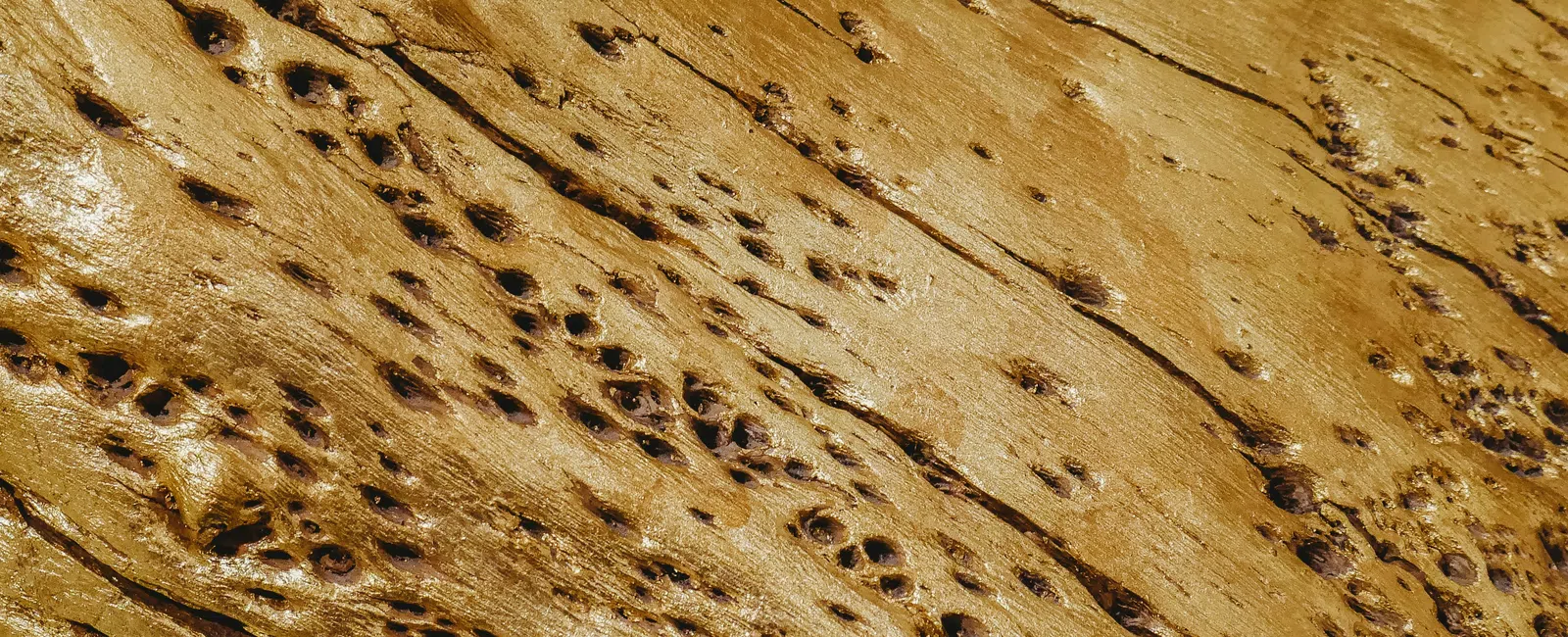 Close-up of textured wood surface with natural grooves and holes, showing detailed grain patterns and warm tones.
