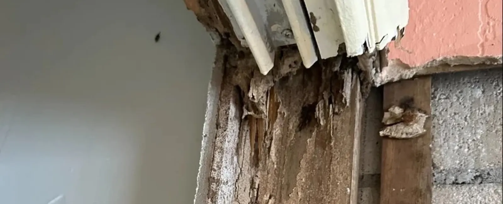 Close-up of severe wood rot and damage on a wooden door frame with peeling paint and exposed planks.