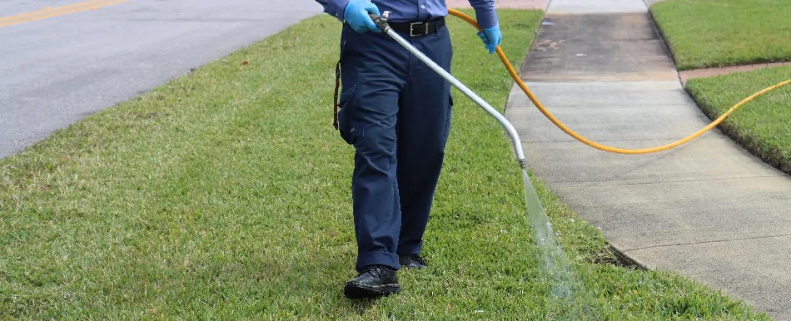Person wearing gloves spraying pesticide on lawn grass near a sidewalk for pest control.