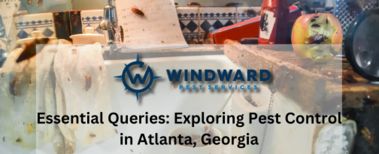 Essential Queries Exploring Pest Control in Atlanta, Georgia