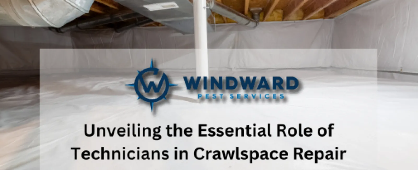 Unveiling the Essential Role of Technicians in Crawlspace Repair