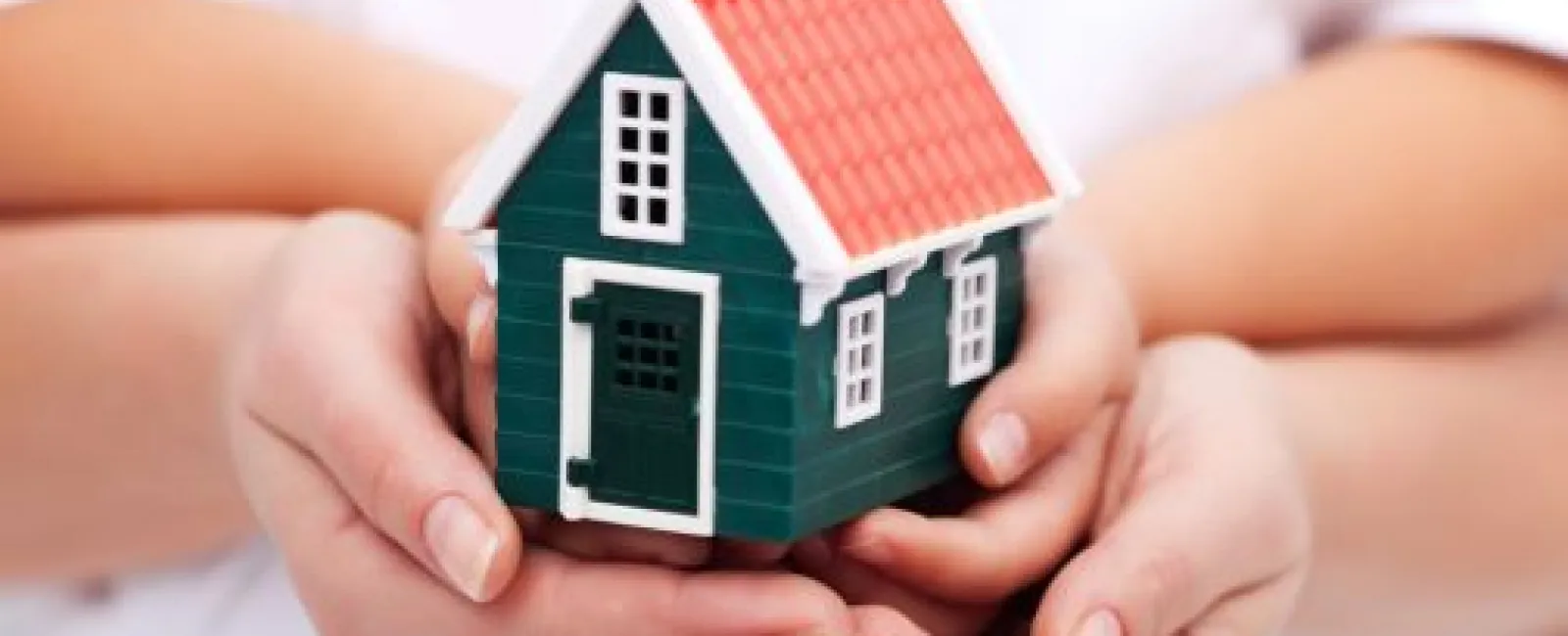a person holding a small house