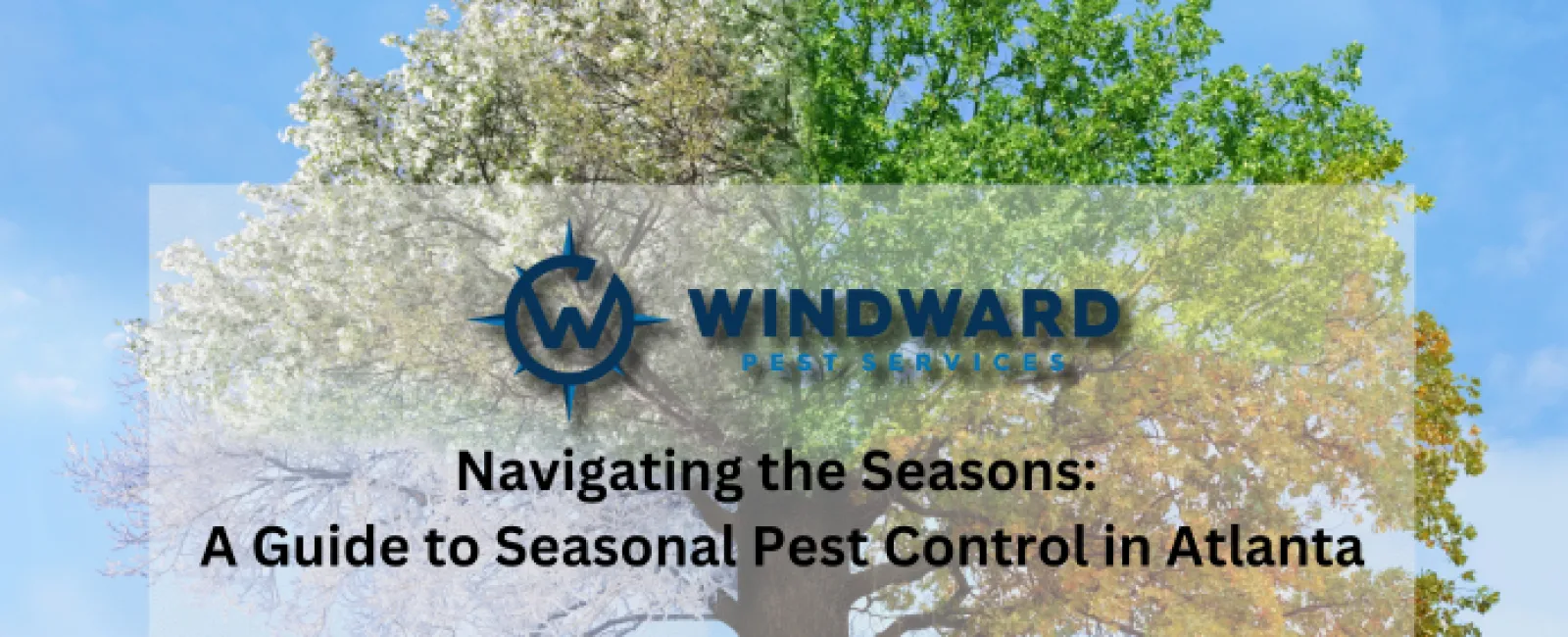 Navigating the Seasons: A Guide to Seasonal Pest Control in Atlanta