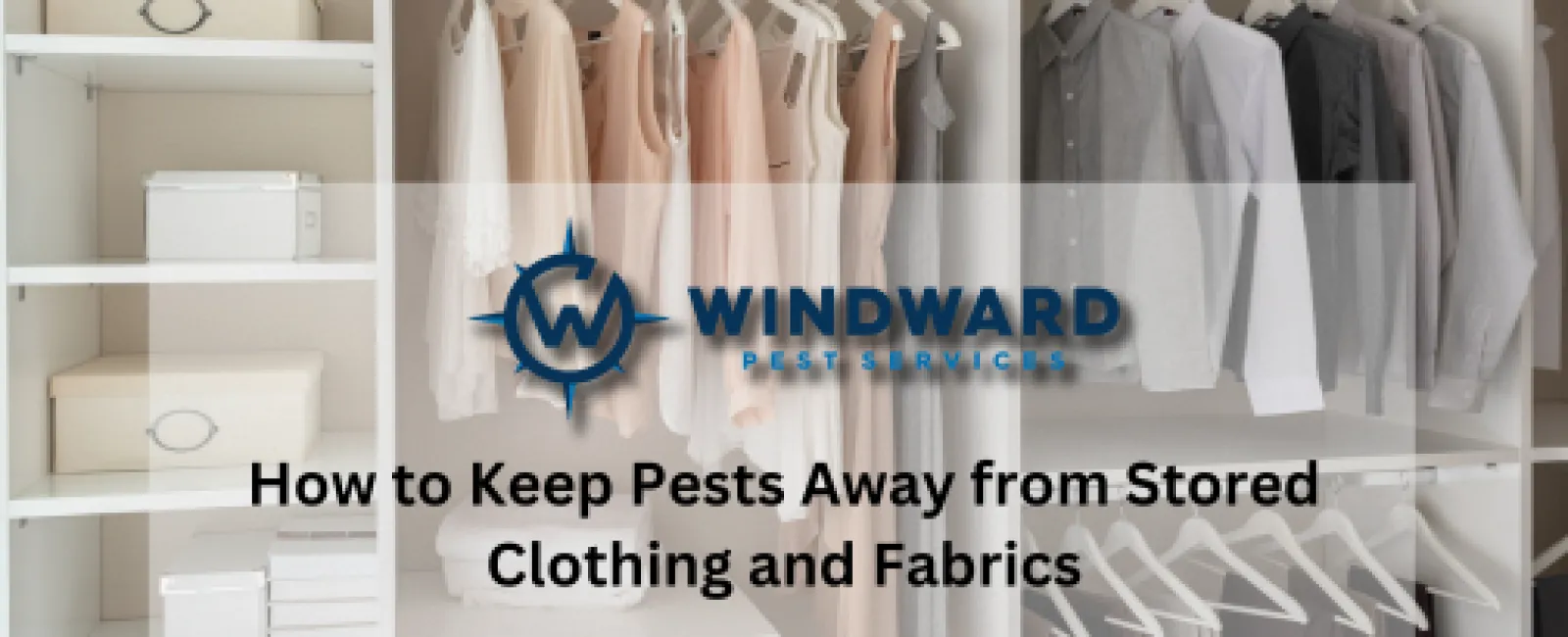 How to Keep pests Away from Stored Clothing and Fabrics