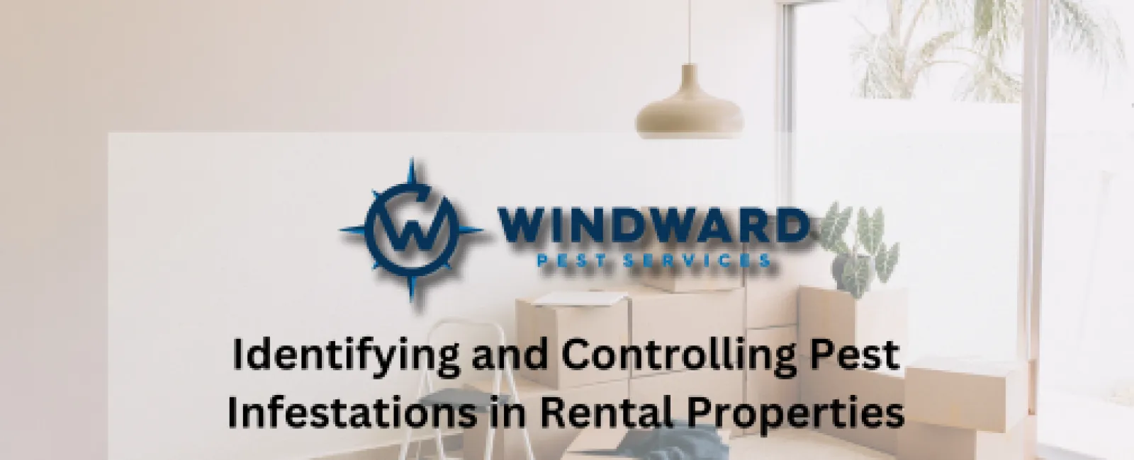 Identifying and Controlling Pest Infestations in Rental Properties