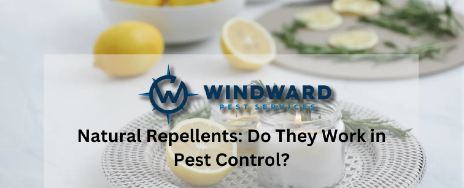 Natural Repellents: Do They Work in Pest Control?