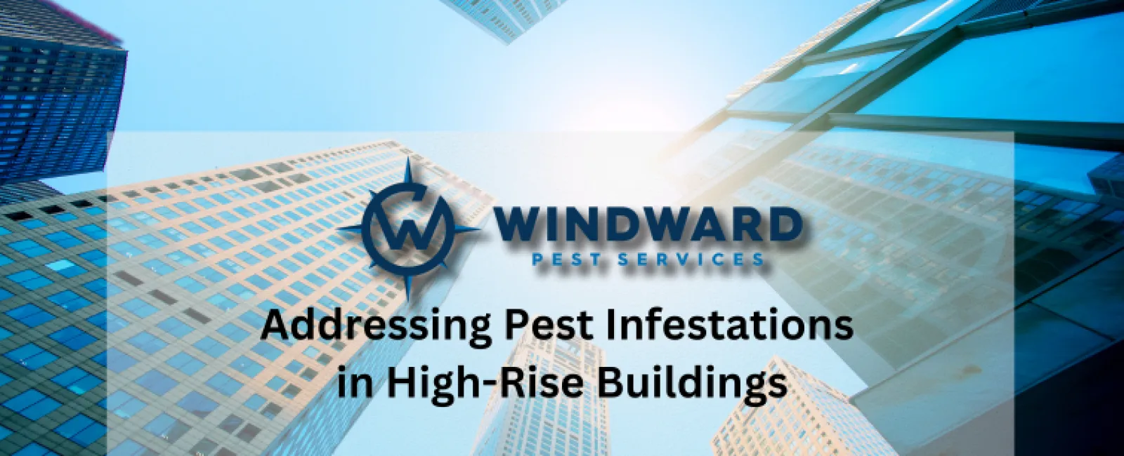 Addressing Pest Infestations in High-Rise Buildings