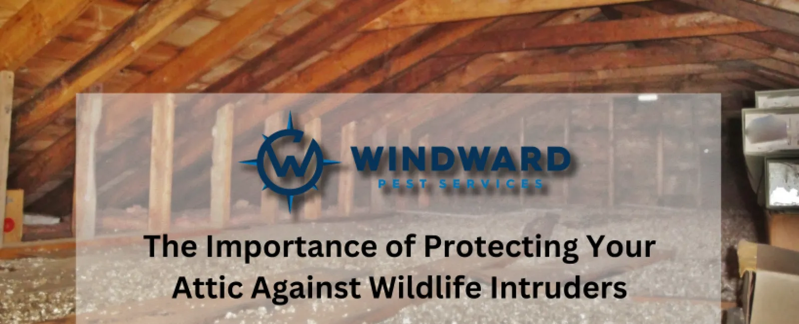 The Importance of Protecting Your Attic Against Wildlife Intruders