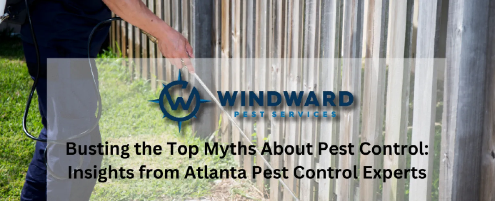 Busting the Top Myths About Pest Control: Insights from Atlanta Pest Control Experts