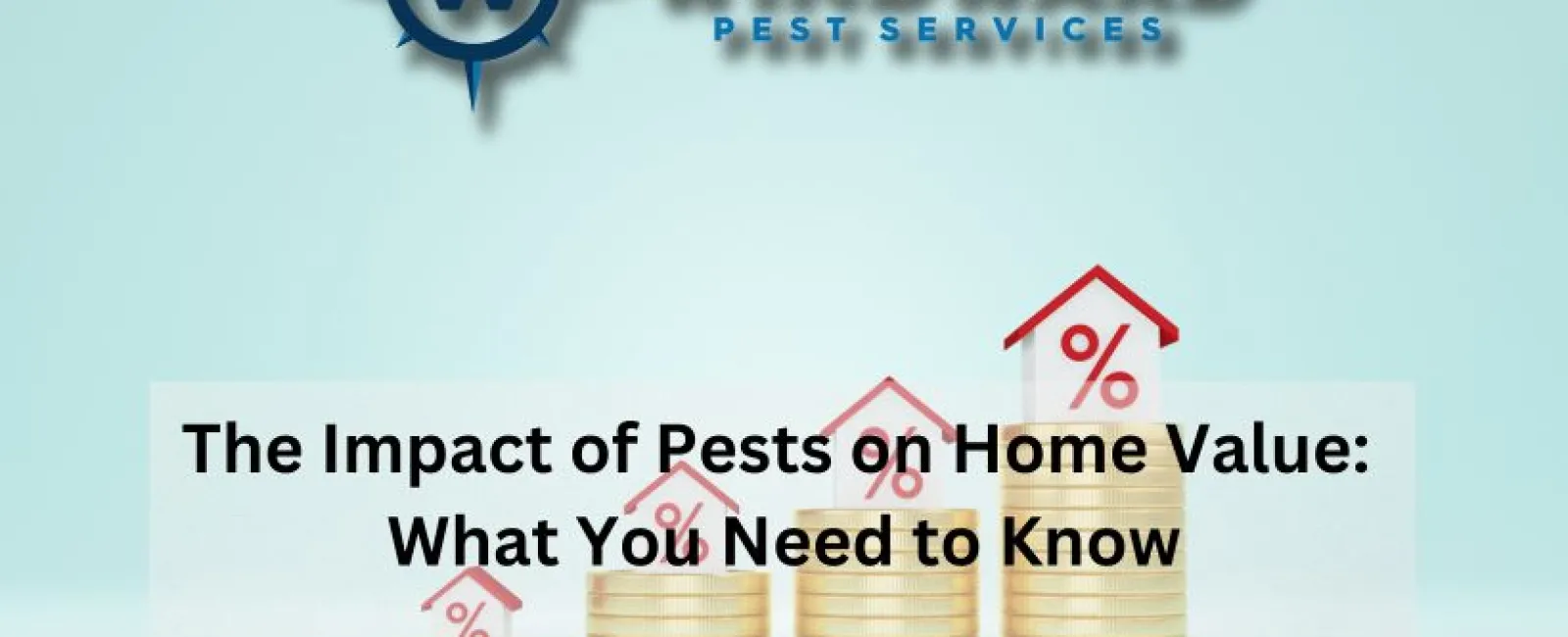 The Impact of Pests on Home Value: What You Need to Know