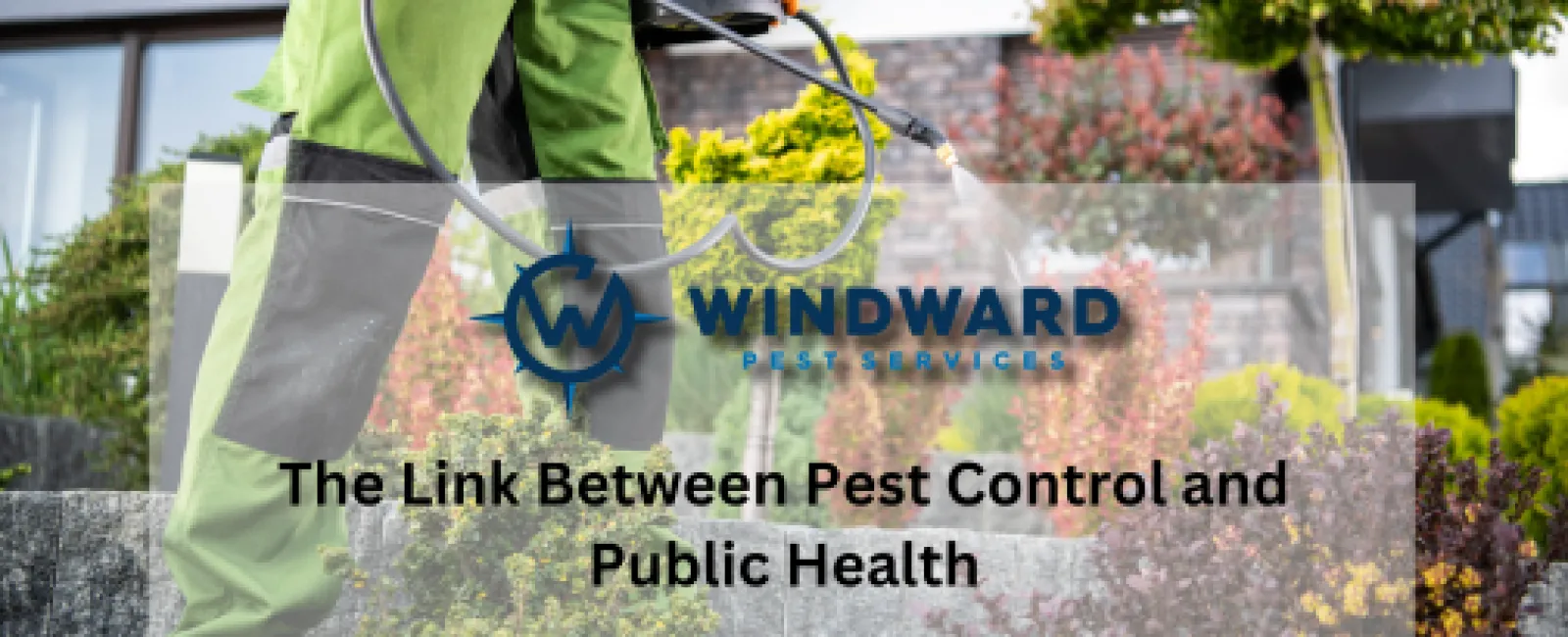 The Link Between Pest Control and Public Health