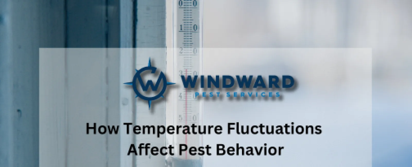 How Temperature Fluctuations Affect Pest Behavior