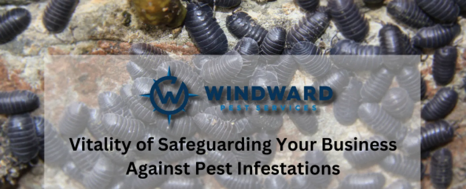 Vitality of Safeguarding Your Business Against Pest Infestations