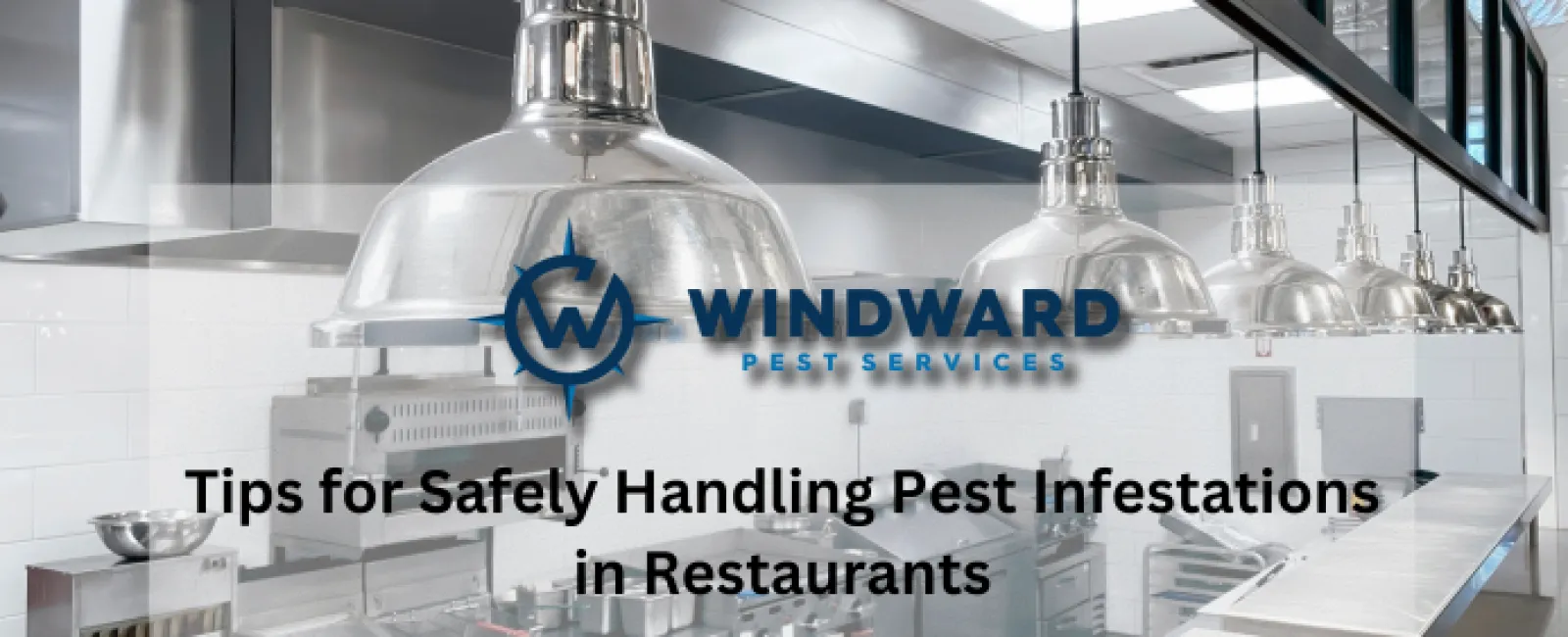 Tips for Safely Handling Pest Infestations in Restaurants