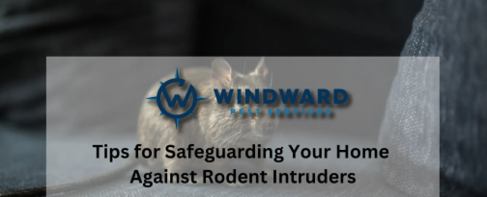 Tips for Safeguarding Your Home Against Rodent Intruders