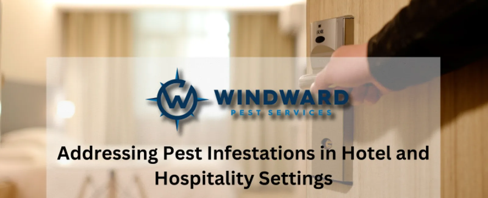 Addressing Pest Infestations in Hotel and Hospitality Settings