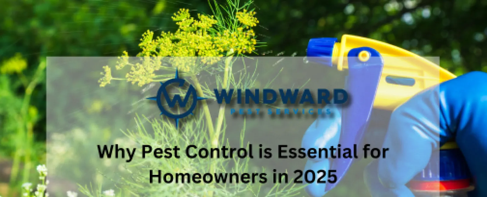 Why Pest Control is Essential for Homeowners in 2025