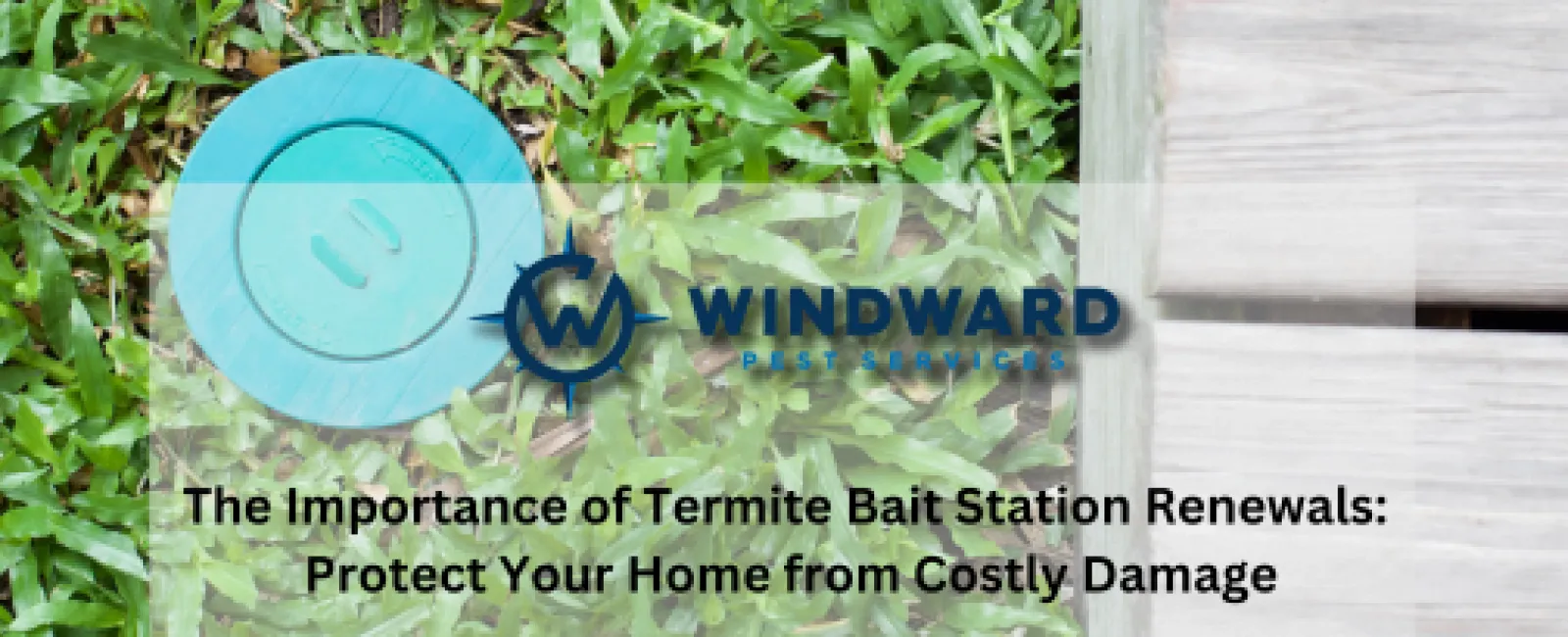 The Importance of Termite Bait Station Renewals:  Protect Your Home from Costly Damage