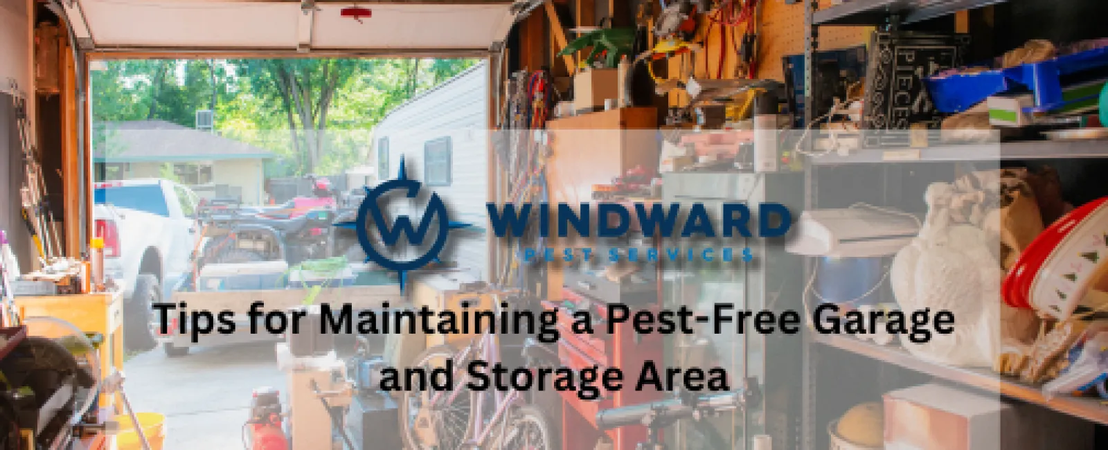 Tips for Maintaining a Pest-Free Garage and Storage Area