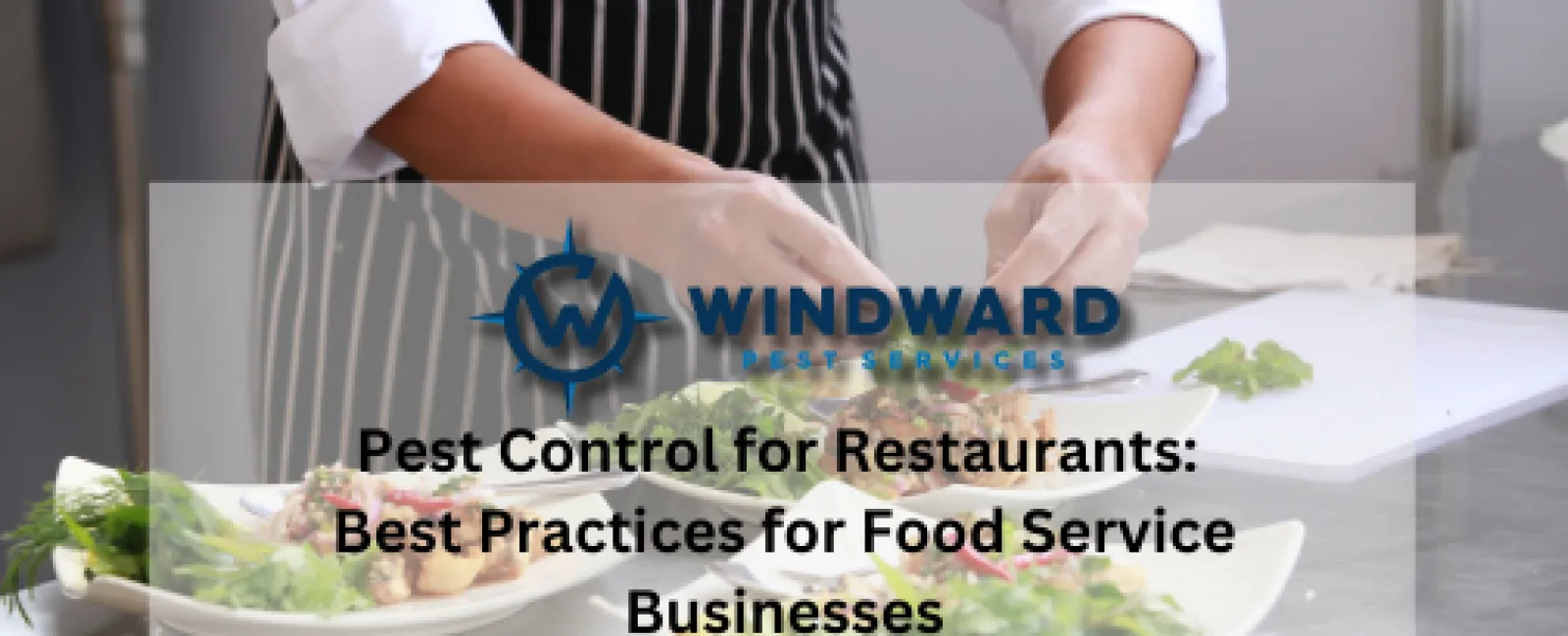 Pest Control for Restaurants: Best Practices for Food Service Businesses