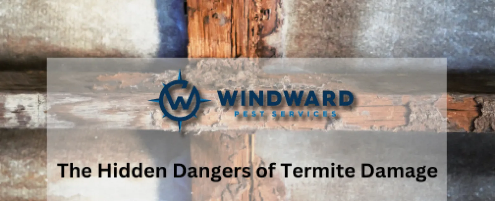 The Hidden Dangers of Termite Damage