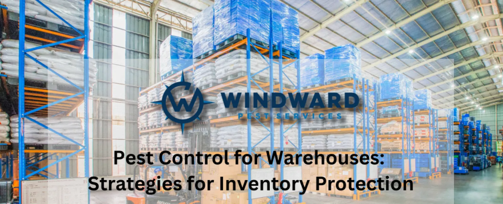 Pest Control for Warehouses: Strategies for Inventory Protection