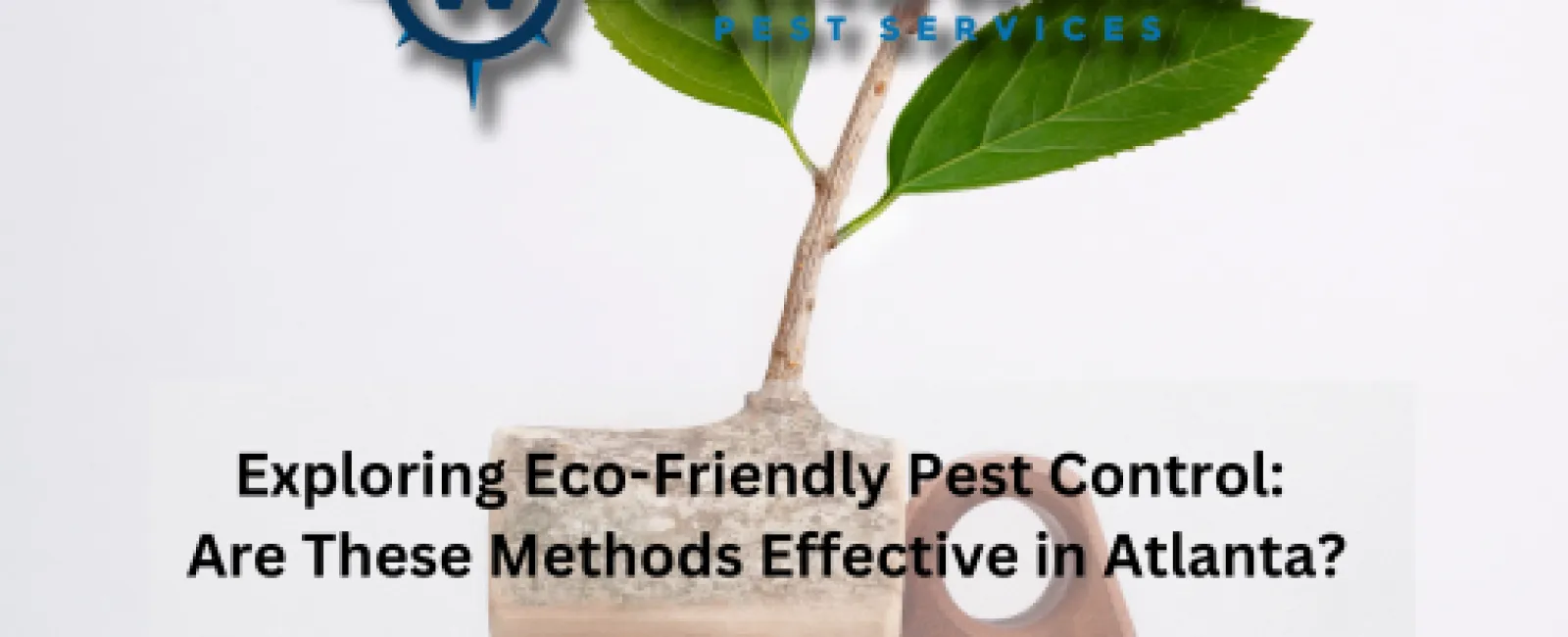 Exploring Eco-Friendly Pest Control: Are These Methods Effective in Atlanta?