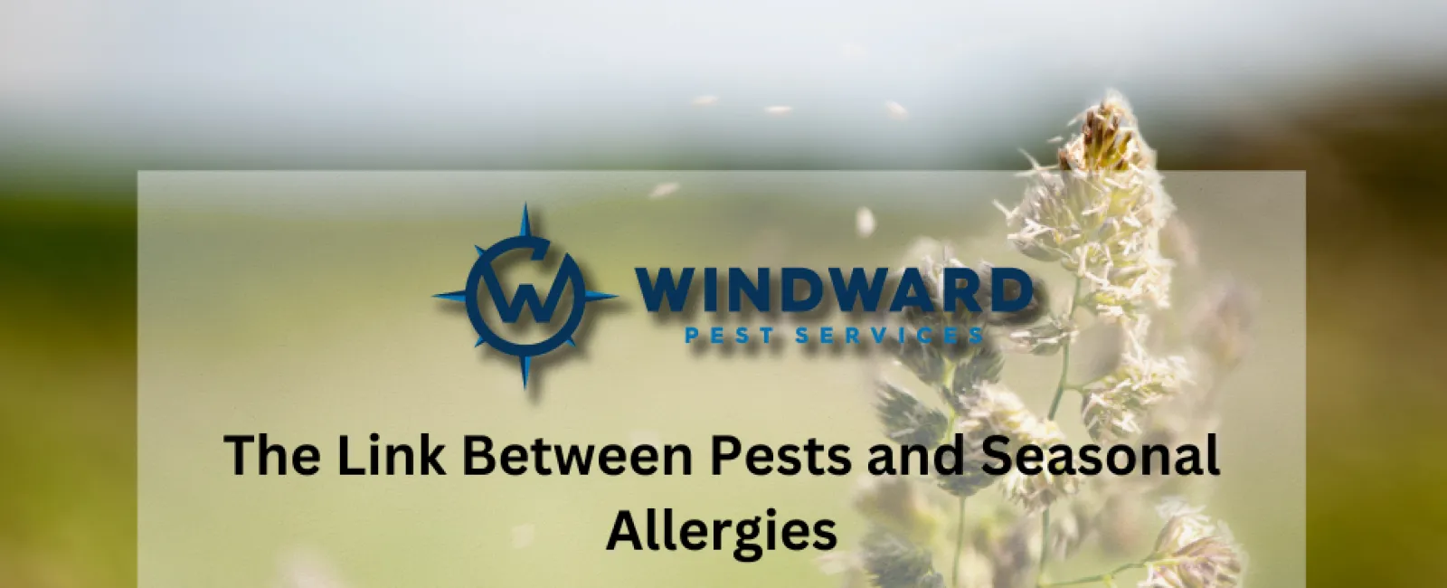 The Link Between Pests and Seasonal Allergies