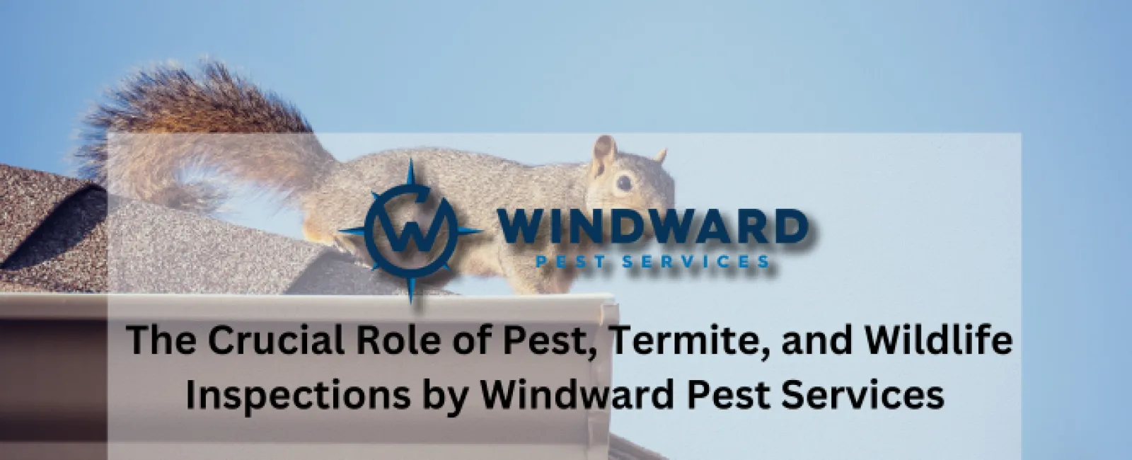 The Crucial Role of Pest, Termite, and Wildlife Inspections by Windward Pest Services