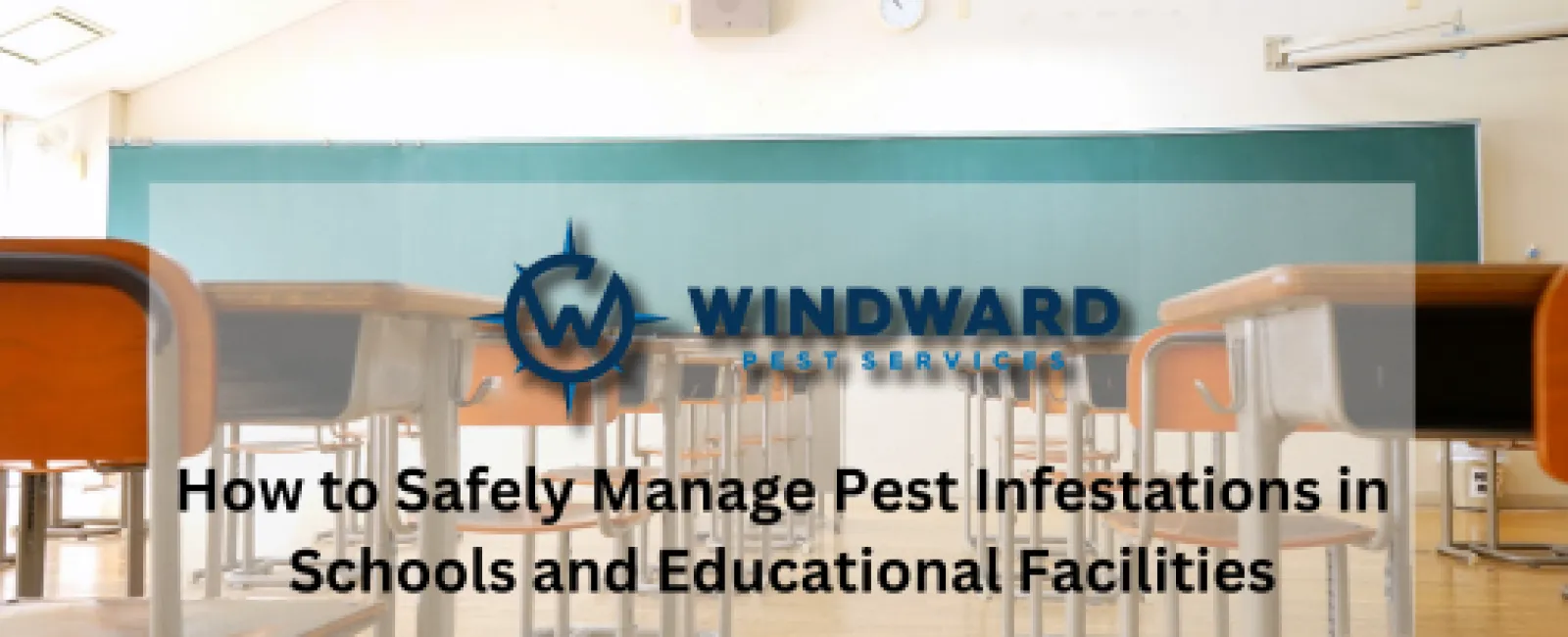 How to Safely Manage Pest Infestations in Schools and Educational Facilities