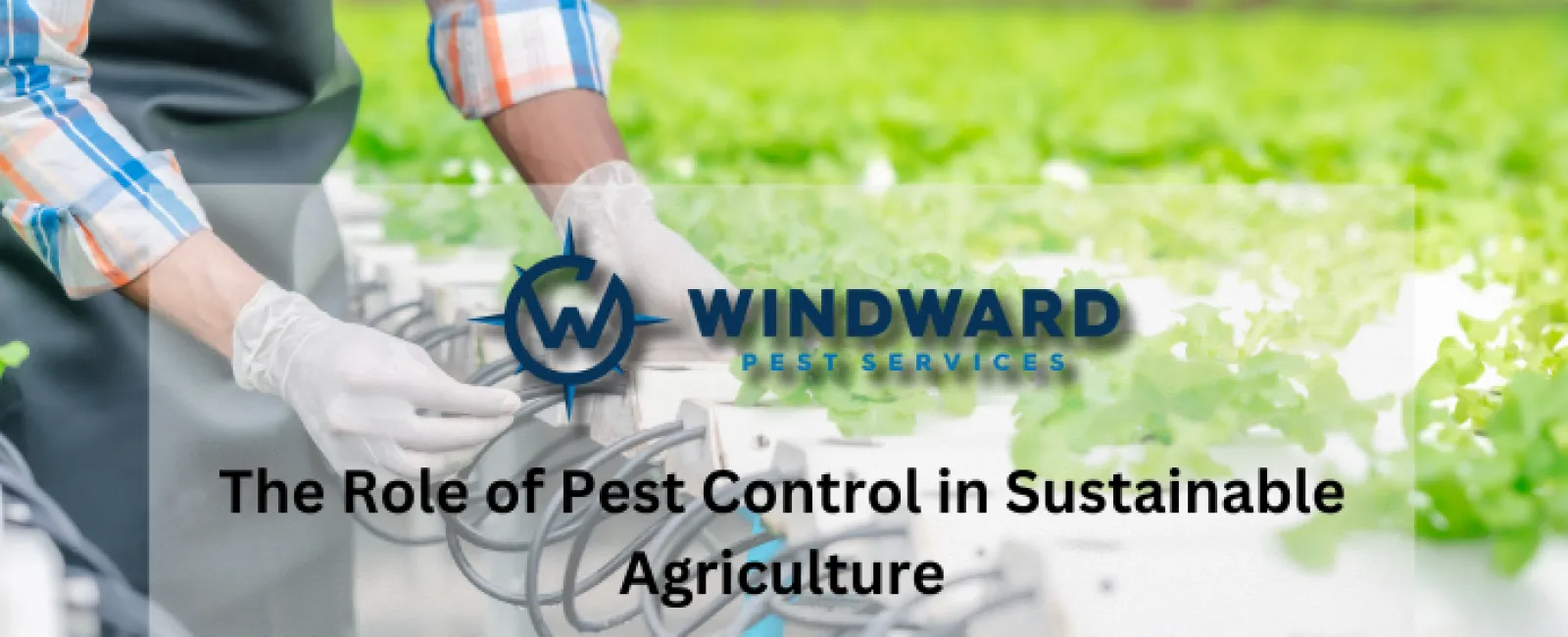 The Role of Pest Control in Sustainable Agriculture